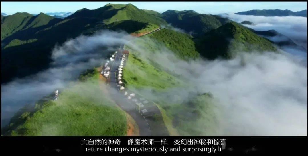 逗小猴开心系列170